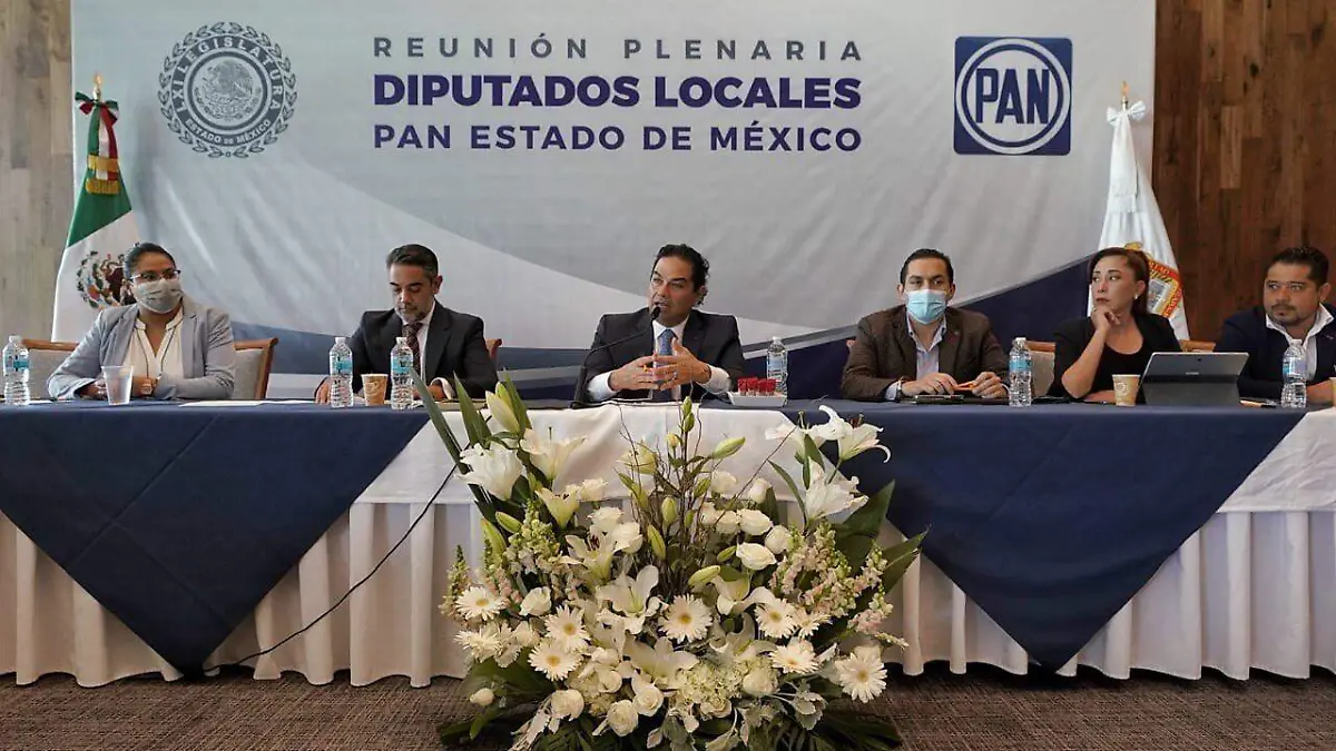 diputados panistas mexiquenses